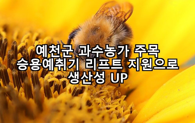 예천군 과수농가 주목 승용예취기 리프트 지원으로 생산성 UP