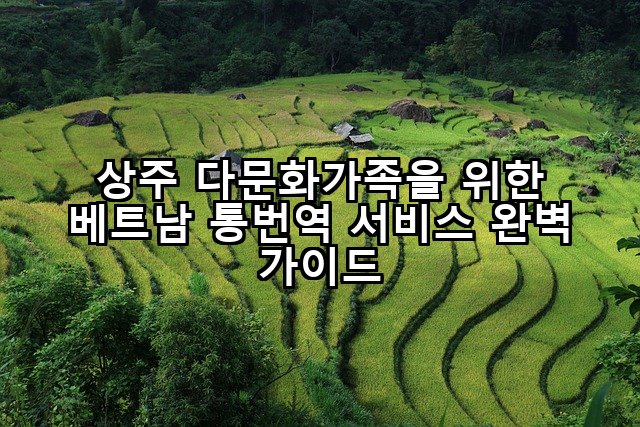 상주 다문화가족을 위한 베트남 통번역 서비스 완벽 가이드