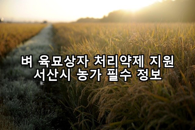 벼 육묘상자 처리약제 지원 서산시 농가 필수 정보