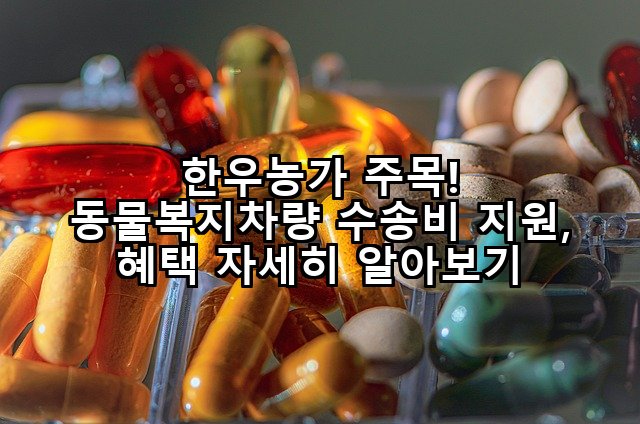 한우농가 주목! 동물복지차량 수송비 지원, 혜택 자세히 알아보기